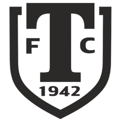 沃洛格达戴拿模